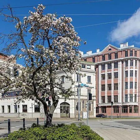 Loft In Heart Old Town Apartman